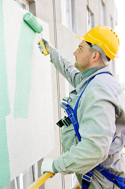 builder fasada malarz w pracy - construction seat belt plasterer painting zdjęcia i obrazy z banku zdjęć