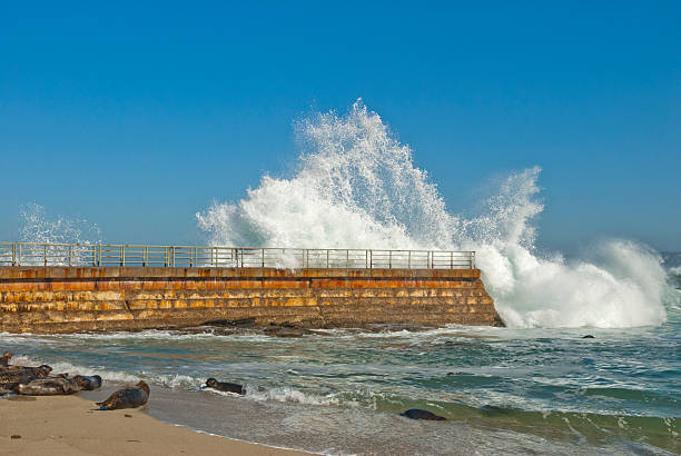 Breaking Wave in La Jolla stock photo