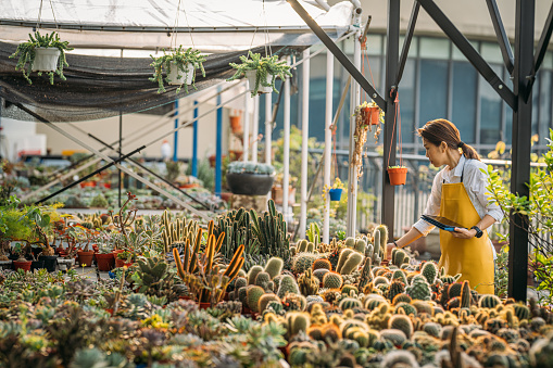 Confidence an Asian female plant shop owner holding a digital tablet and working and growing potted plants in store. Small business entrepreneur and plant caring concept