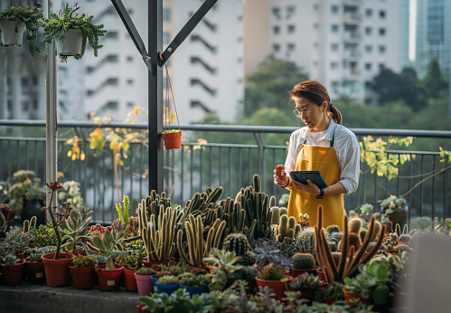 Confidence an Asian female plant shop owner holding a digital tablet and working and growing potted plants in store. Small business entrepreneur and plant caring concept