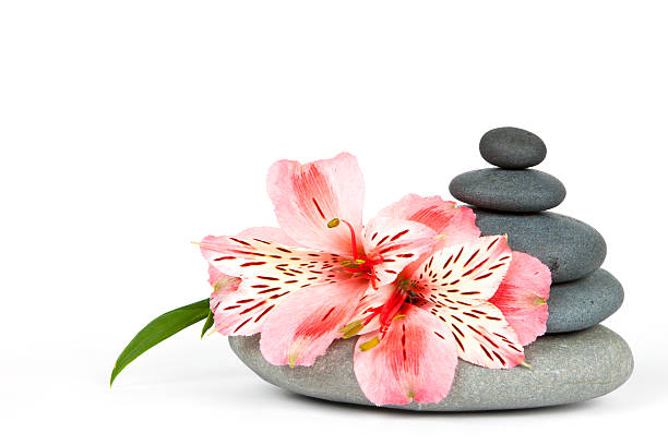 istock Spa and healthcare concept 177381703