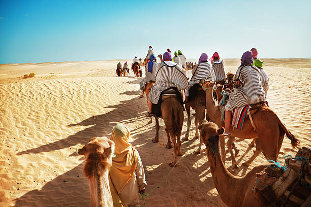 sahara desert - journey camel travel desert stock-fotos und bilder