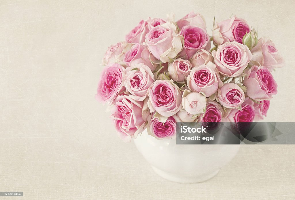 Pink roses in a cup Pink roses in a vase on grey background Beauty Stock Photo