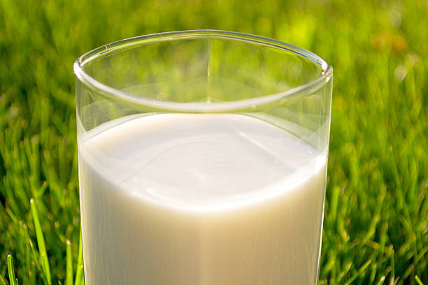 Glass of milk stock photo