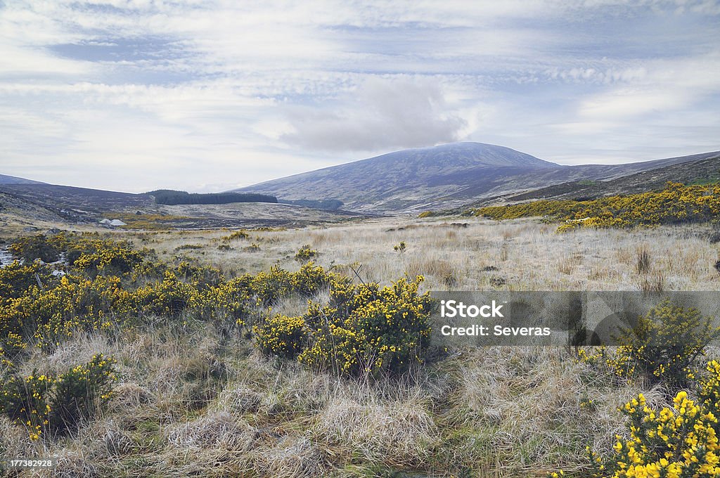 Montañas del condado de Wicklow - Foto de stock de Aire libre libre de derechos