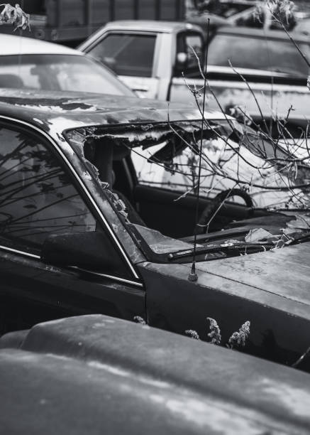 istock old rusted cars and trucks 1773835180