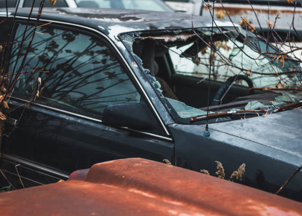 old rusted cars and trucks