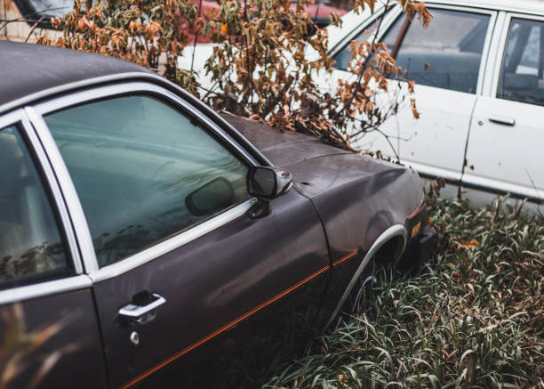 istock old rusted cars and trucks 1773835392