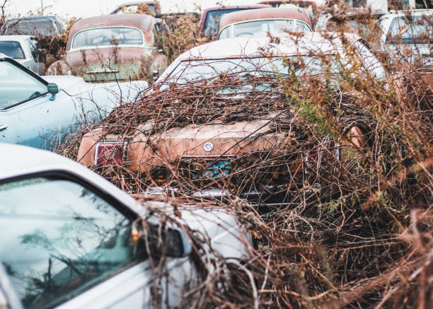 istock old rusted cars and trucks 1773842594