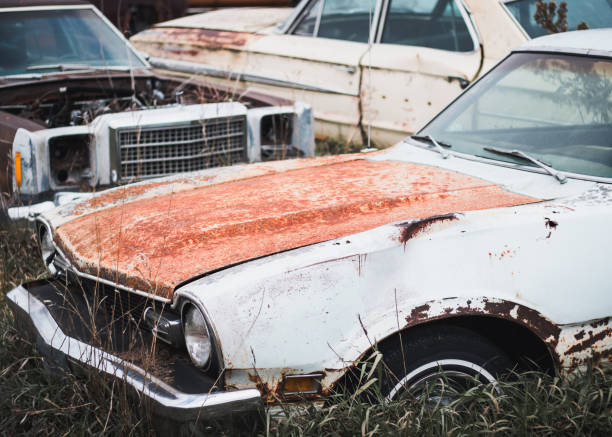 istock old rusted cars and trucks 1773842604