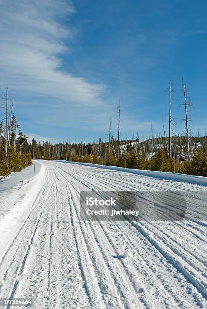 Droga Zimą Yellowstone Np - zdjęcia stockowe i więcej obrazów Bez ludzi - Bez ludzi, Chłodny, Droga