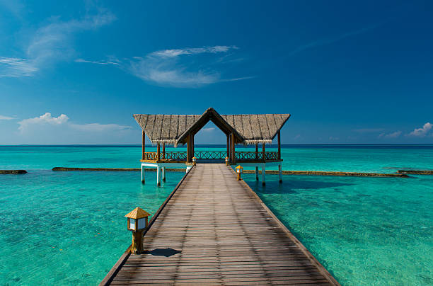 istock Jetty over the turquoise indian ocean 177384919