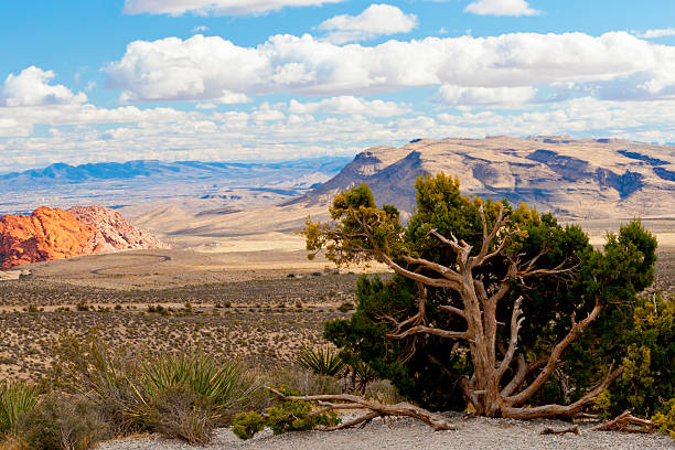 istock Colourful rocks in Red Rock Canyon State Park. 177384927