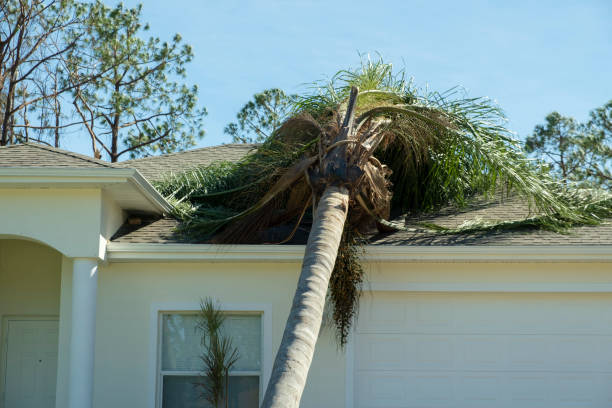 daños en el techo de una casa después de un huracán en florida. escombros caídos después de fuertes vientos de tormenta tropical. consecuencias de los desastres naturales - tree removing house damaged fotografías e imágenes de stock