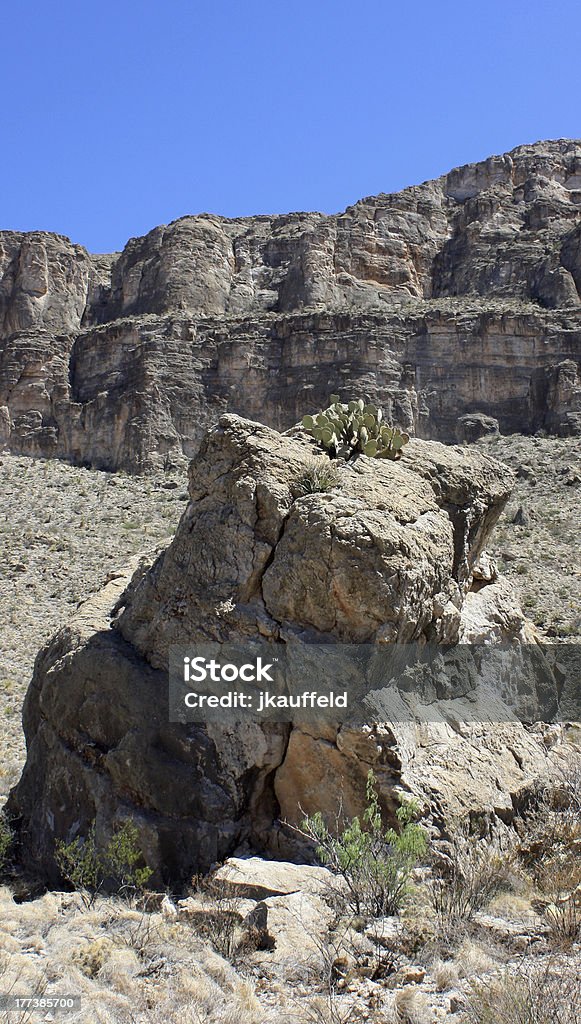 Rock Garden - Lizenzfrei Big Bend-Nationalpark Stock-Foto