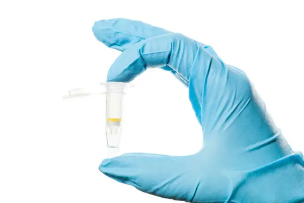 "Gloved hand holding an Eppendorf test tube with a DNA sample. Isolated over white, clipping path included"