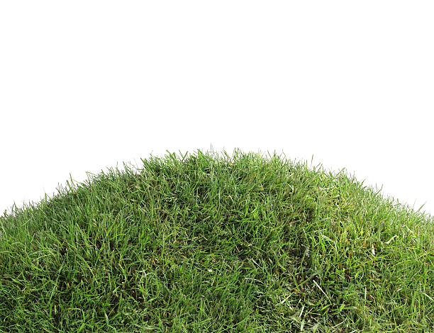 Simple Grassy Hill Cutout stock photo