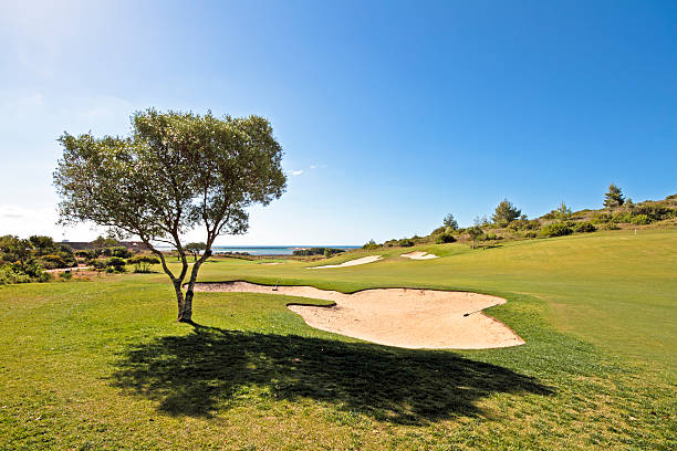 istock Golf course in the Algarve Portugal 177386829