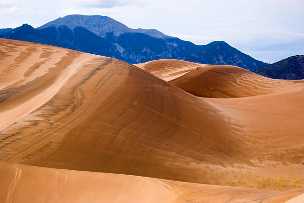 Great Sand Dunes National Monument "People hiking in the distance in Great Sand Dunes National Park, Colorado, USA" great sand dunes national park stock pictures, royalty-free photos & images