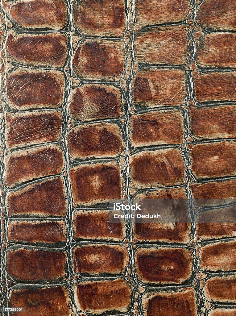 leather texture closeup crocodile leather texture closeup for background and design works Abstract Stock Photo