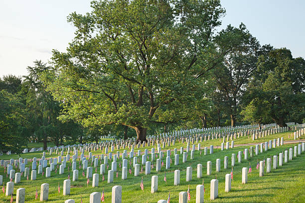 tombstones の美しい木のアーリントン国立墓地 - arlington national cemetery virginia cemetery american flag ストックフォトと画像