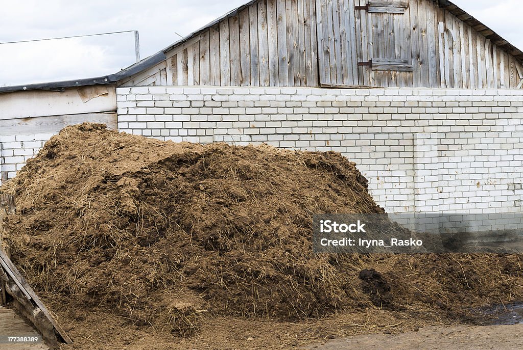 Cow dung as a natural fertilizer Heap of cow dung as a natural fertilizer near a farm building Agriculture Stock Photo Cow dung as a natural fertilizer Heap of cow dung as a natural fertilizer near a farm building Agriculture Stock Photo