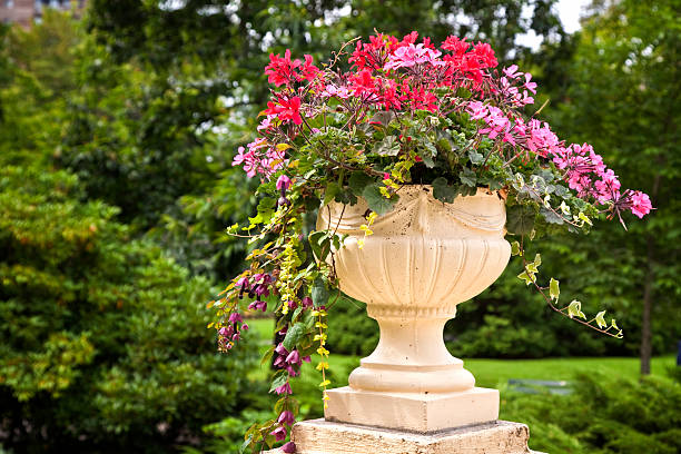 istock Pedestal Garden Planters 177389565
