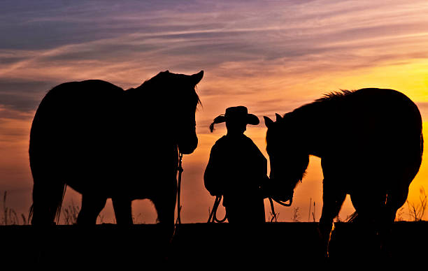 istock Young Cowboy Silhouette & His Horses 177389712