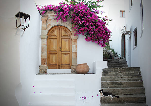 In Grecia: Bianche pareti, fiori fucsia, scale e gatto rilassante - foto stock