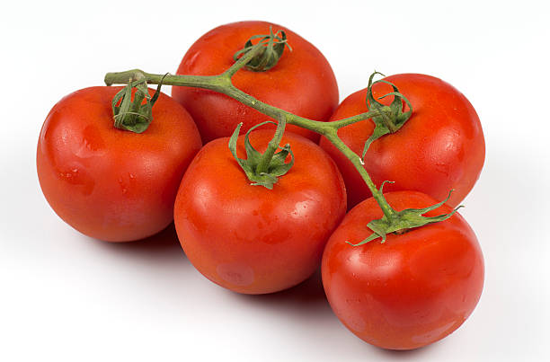 세계 최고의 토마토 - freshnes 뉴스 사진 이미지