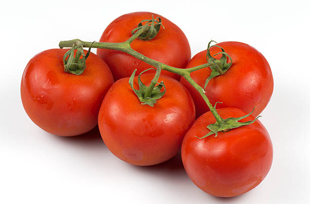 best tomatoes in the world stock photo