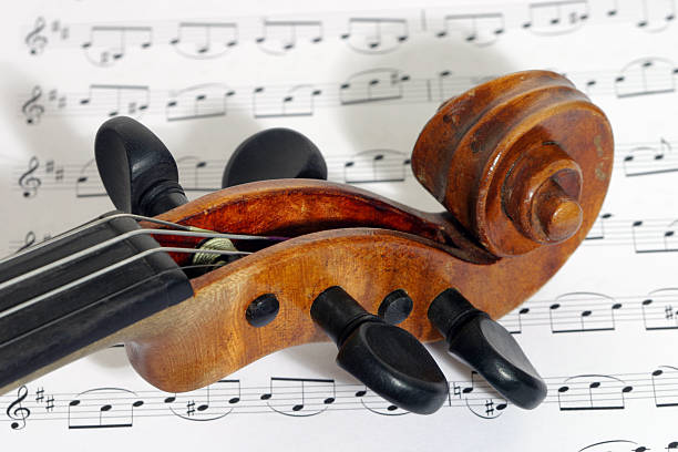 violino rose e spinotti - violin equipment classical instrument light and shadow foto e immagini stock