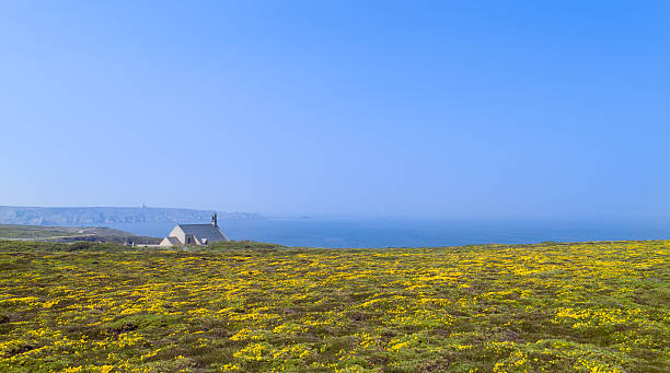 istock Landscape pointe du raz in brittany 177390500