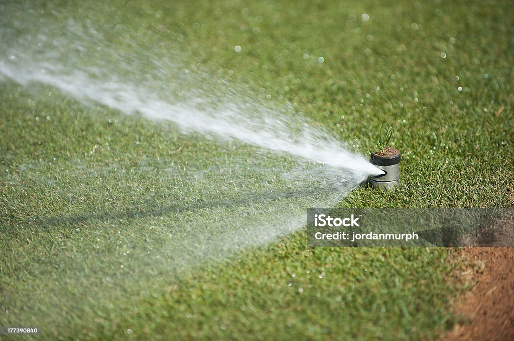 Grama de Sprinkler - Foto de stock de Ajardinado royalty-free