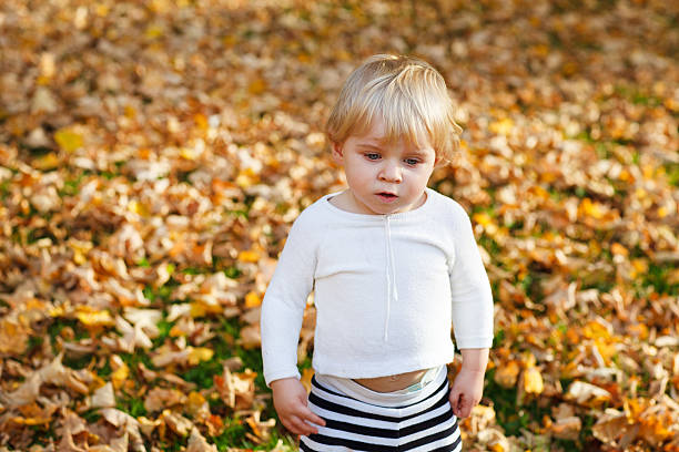 istock Little toddler boy in autumn park 177390859