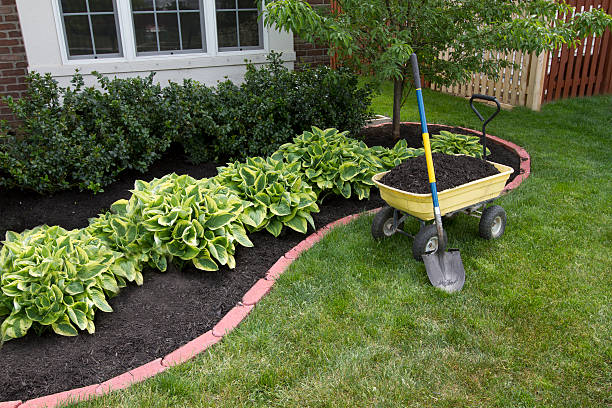 Mulching around the Bushes Mulching bed around the house and bushes, wheelbarrel along with a showel. landscaping stock pictures, royalty-free photos & images