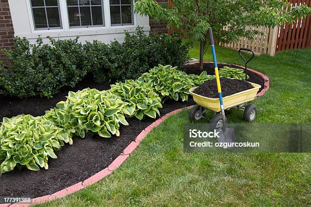 Mulching Around The Bushes Stock Photo - Download Image Now - Mulch, Yard - Grounds, Landscaped