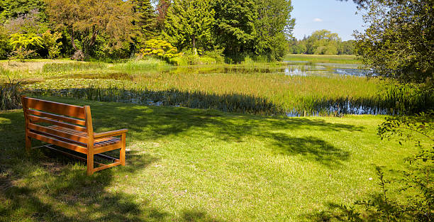 istock Empty wooden bench in the park 177392305