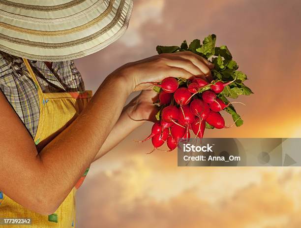 Felice Donna Giardiniere - Fotografie stock e altre immagini di Adulto - Adulto, Adulto in età matura, Agricoltore