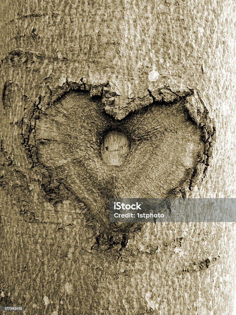 나무, 세피아, 소프트 이미지에서 심장 모양 - 로열티 프리 감정 스톡 사진