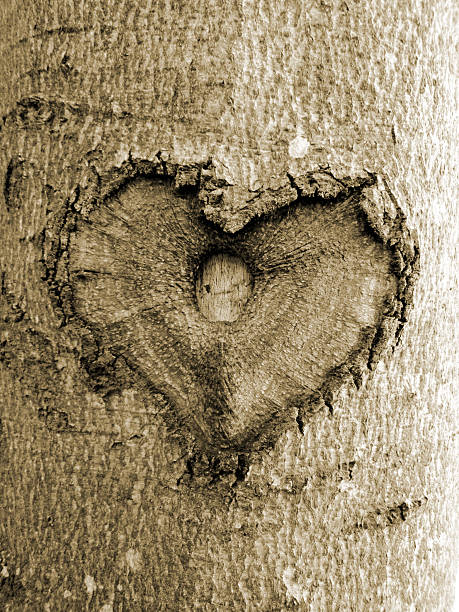 istock heart shape in the tree, sepia, soft image 177392413