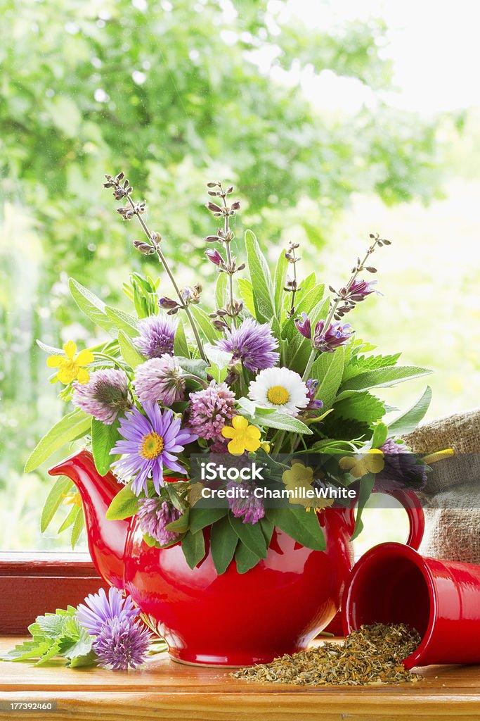 red teapot with bouquet of healing herbs and flowers red teapot with bouquet of healing herbs and flowers on windowsill Alternative Medicine Stock Photo