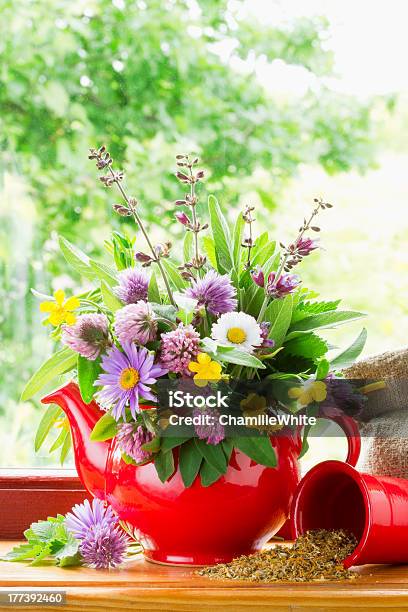 Red Teapot With Bouquet Of Healing Herbs And Flowers Stock Photo - Download Image Now