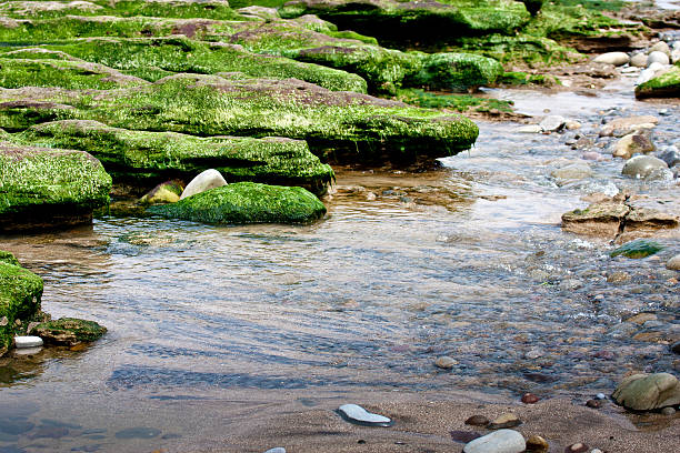 green-riff - wave reef rock summer stock-fotos und bilder