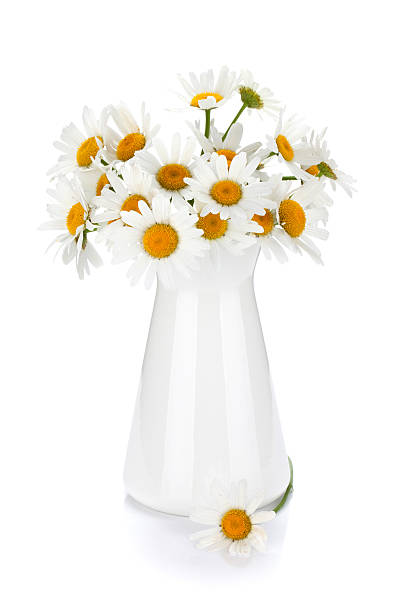 istock Chamomile bouquet in vase 177392830