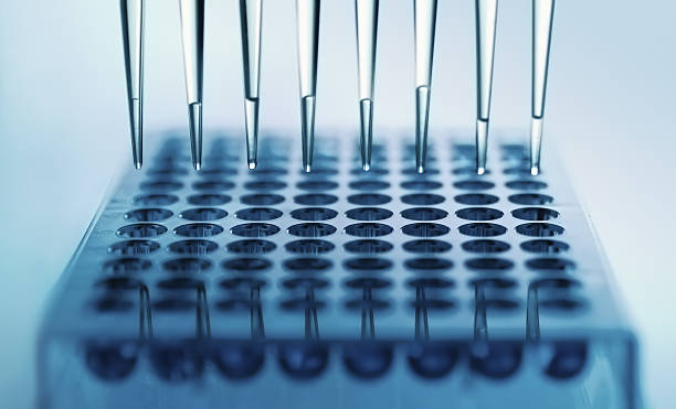 multichannel pipette pipettor dispensing samples in a deep well plate medical sample stock pictures, royalty-free photos & images
