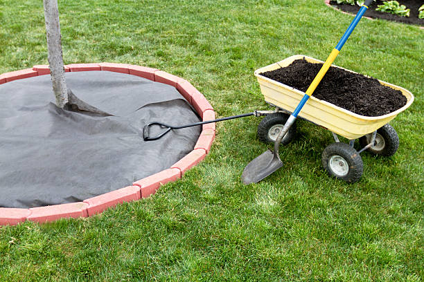 Mulch In Dumping Cart stock photo