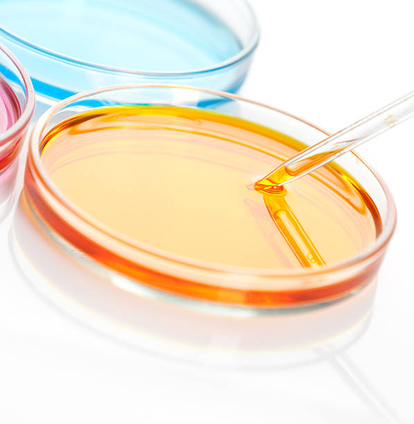 istock Set of Petri dishes with a colored liquids 177394483