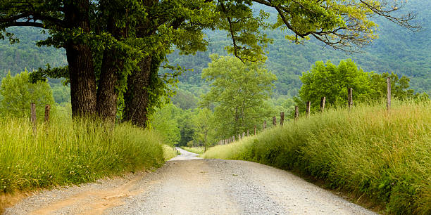 manda scintille lane-cades cove - cades foto e immagini stock