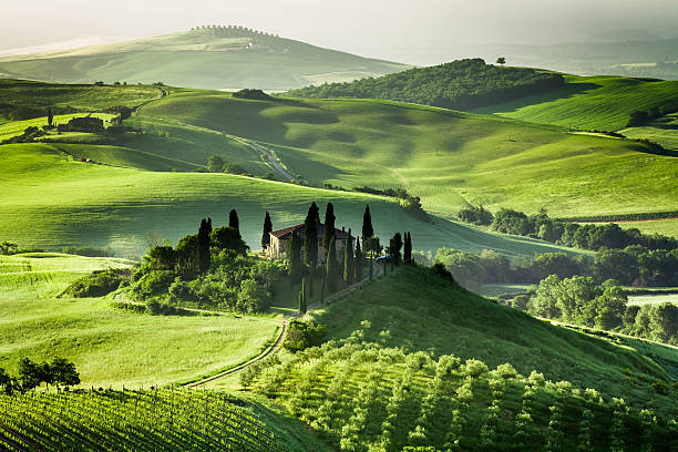 gospodarstwo gajów oliwnych i winnic z - pienza tuscany italy landscape zdjęcia i obrazy z banku zdjęć